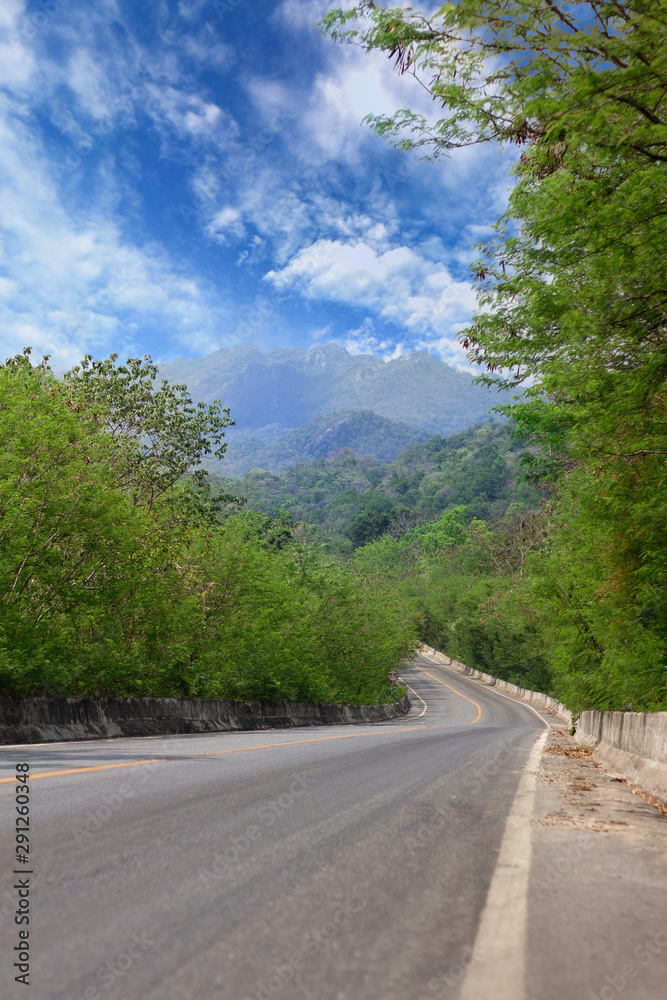Fototapeta premium Road and Green leafs
