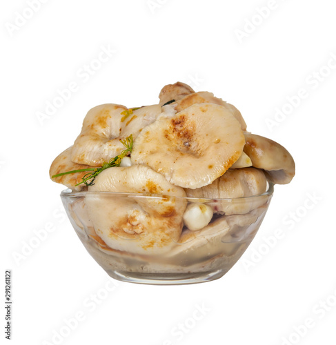 Fermented homemade foods - salted mushrooms in a glass plate on a white background. Isolated