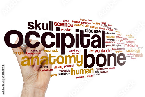 Occipital bone word cloud © ibreakstock