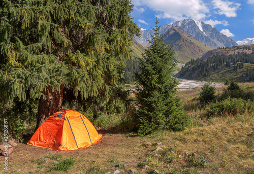 Tourist tent camp under a majestic spruce in the mountains; tourism and travel concept