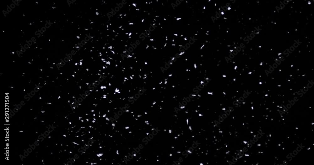 Falling real snowflakes, heavy snow, shot on a black background, frosted, wide-angle, insulated, ideal for digital composition, post-production Falling real snowflakes, heavy snow, shot on a black background, frosted, wide-angle, insulated, ideal for digital composition, post-production