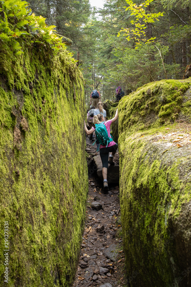Obraz premium Petit groupe dans un passage étroit lors d'une marche en forêt