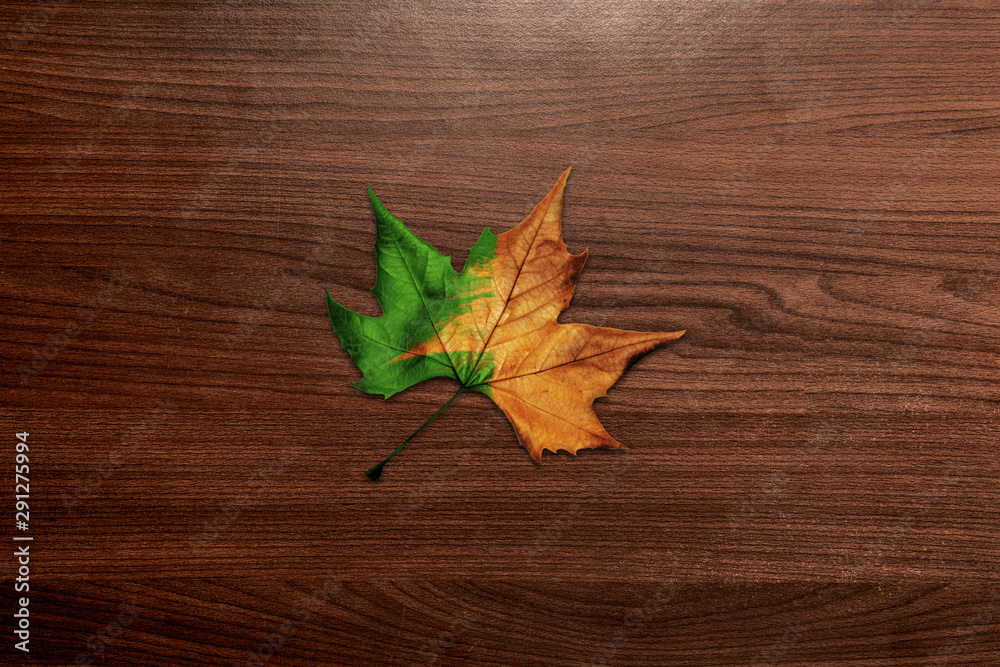 leaf half dried on wood background