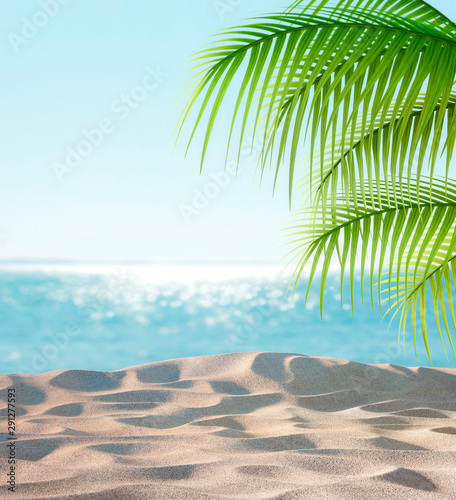 Fototapeta Naklejka Na Ścianę i Meble -  Empty beach with palm leaves and view to the sea
