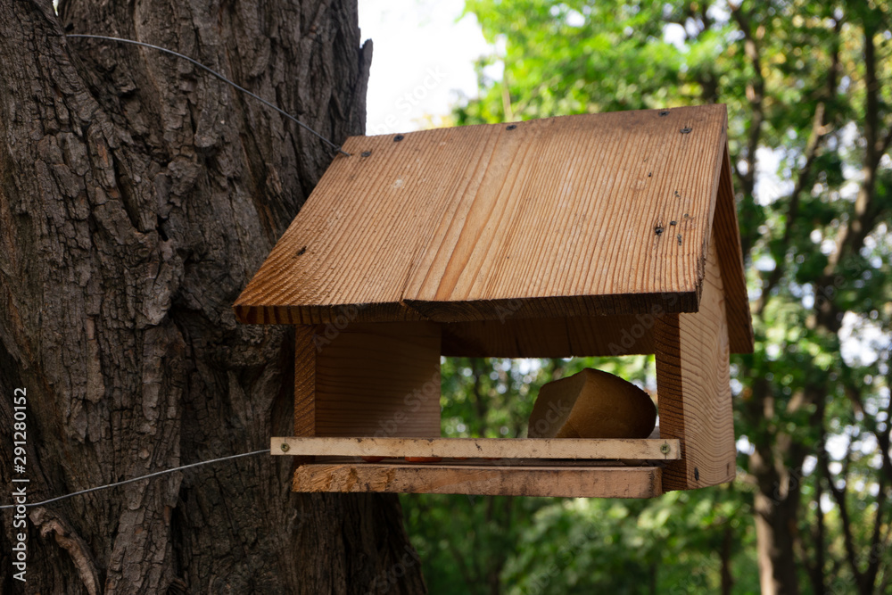 Close-up wooden bird feeder on tree trunk. Craft birdhouse in park Close-up wooden bird feeder on tree trunk. Craft birdhouse in park