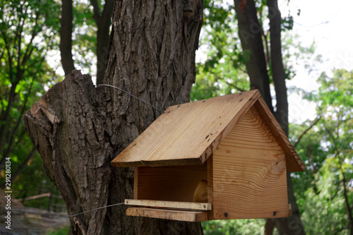 Wooden birdhouse on tree trunk. Hand made bird feeder in park