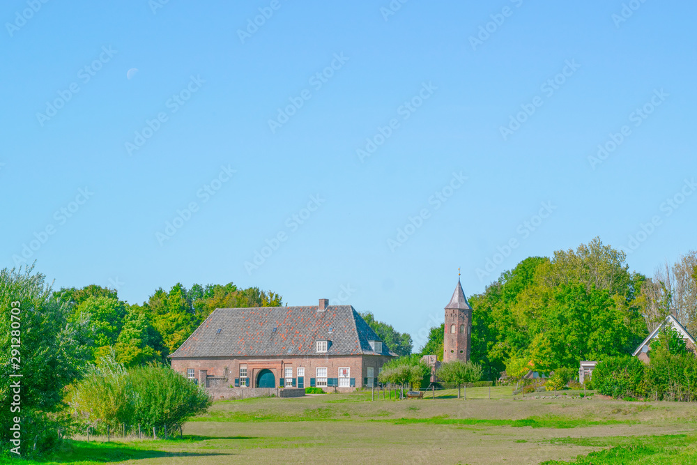 Dutch grass meadow in Ooij Dutch grass meadow in Ooij