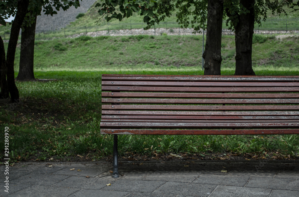 bench in the park