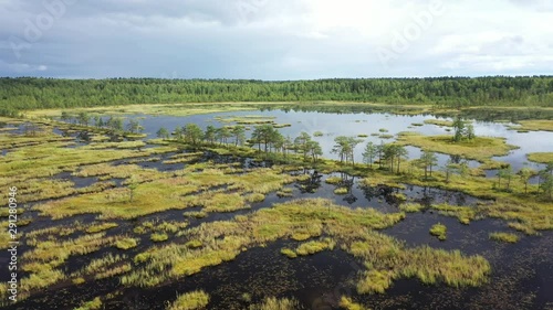 Wallpaper Mural Aerial view of swamps, forests and sky reflected in water. Torontodigital.ca