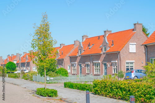row of Traditional Dutch houses © Daniel Doorakkers
