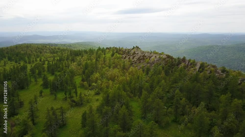 coniferous forest growing on stony soil of a mountain in the Urals