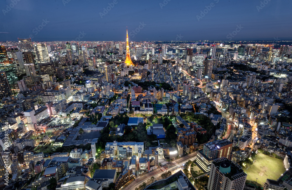 Tokyo Tower and Tokyo skyline by night