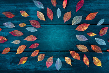 Autumn background with vibrant fall leaves, a design template for a flyer, invitation, or gift card with copy space