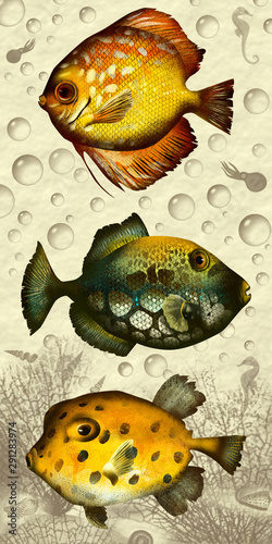 fishes photo print