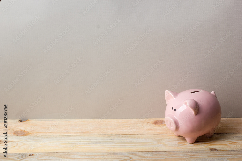 Fototapeta premium Piggy bank and dollar cash money. Business, finance, investment, saving and corruption concept.