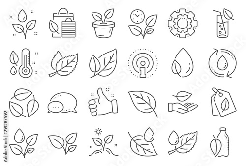 Plants line icons. Mint leaf  Growing plants and Humidity thermometer icons. Bottle with mint water  Nature care  leaf on hand. Gardening new flower  environment  water drop and thermometer. Vector