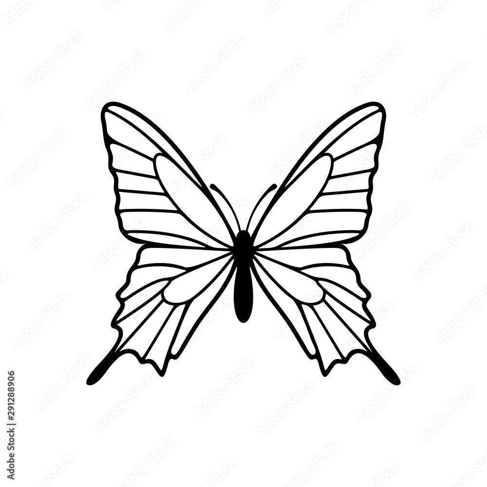 Butterfly logo design vector. Butterfly logo template illustration Butterfly logo design vector. Butterfly logo template illustration