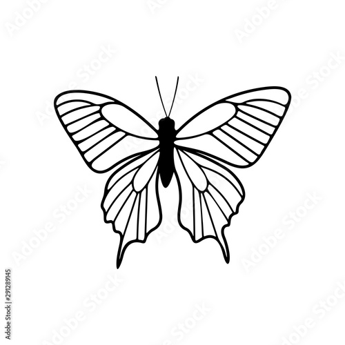 Butterfly logo design vector. Butterfly logo template illustration