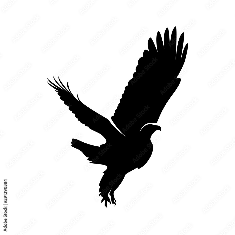 Eagle logo design vector. Eagle logo template illustration Eagle logo design vector. Eagle logo template illustration