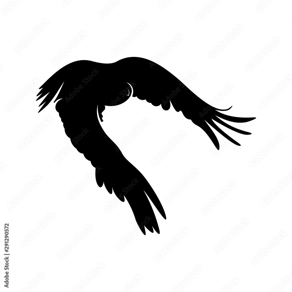 Eagle logo design vector. Eagle logo template illustration Eagle logo design vector. Eagle logo template illustration