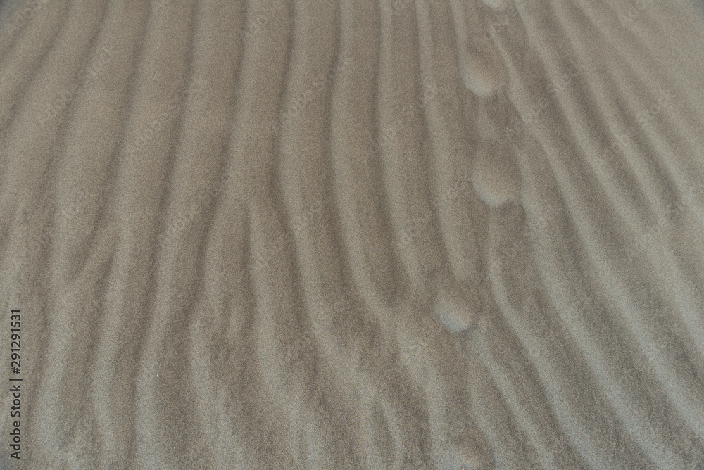 Sand and wood in the beach Sand and wood in the beach