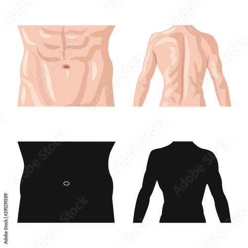 Vector design of human and part sign. Collection of human and woman vector icon for stock.