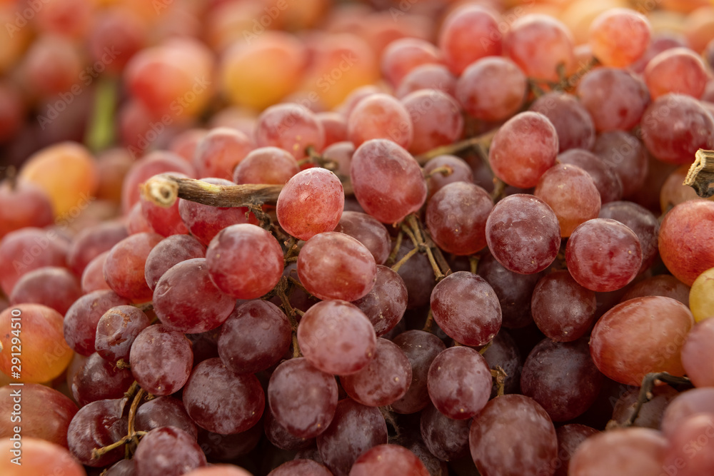 Colorful Grapes raisins closeup, texture Colorful Grapes raisins closeup, texture