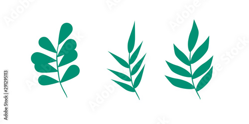 Fototapeta Naklejka Na Ścianę i Meble -  A set of vector leaves and branches. Lovely design elements to make your own patterns, laurels and compositions. Great for wedding or invitations.