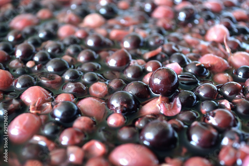 The process of  berry wort fermentation for making wine