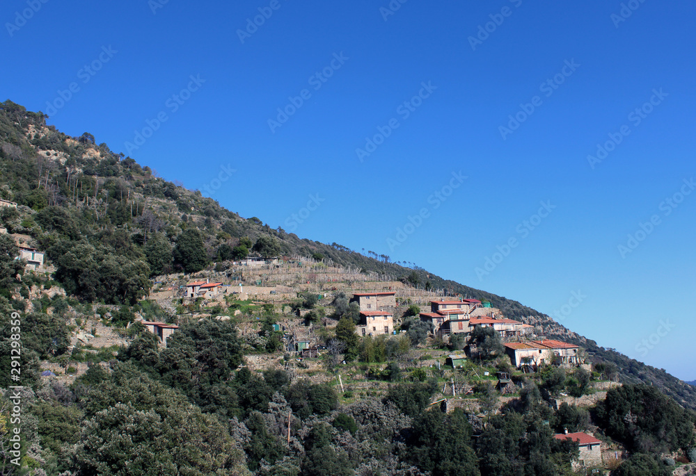 Obraz premium Borgo marino collinare con vigneti e bosco