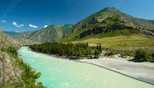 Katun  and Argut river mixing