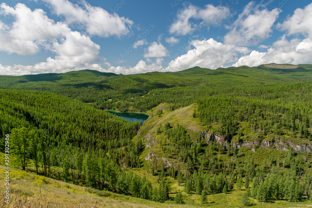 Altay forest Altay forest
