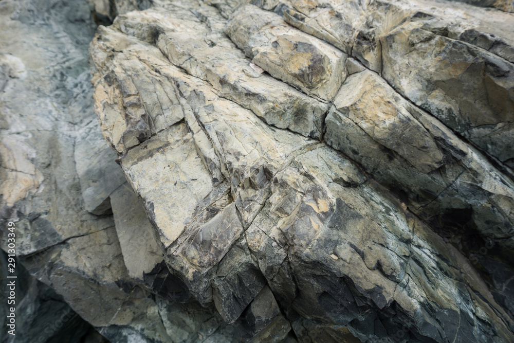 Close up of a sea rock texture Close up of a sea rock texture