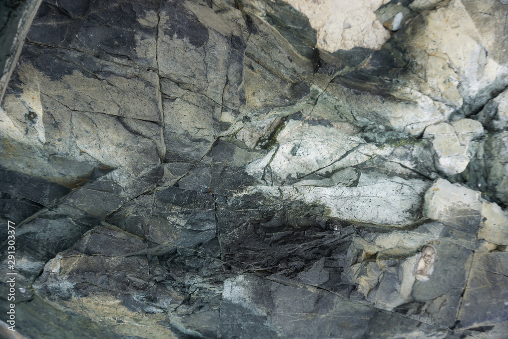 Close up of a sea rock texture
