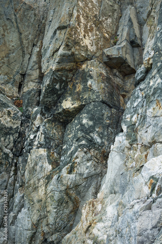 Close up of a sea rock texture photo