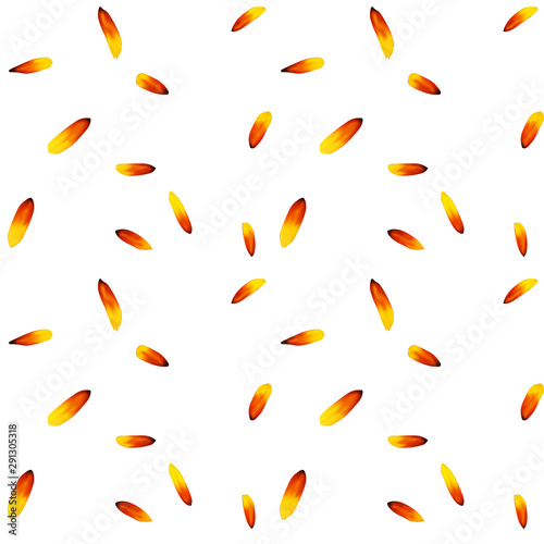 Colorful yellow echinacea on white background. Seamless pattern. Vector illus...