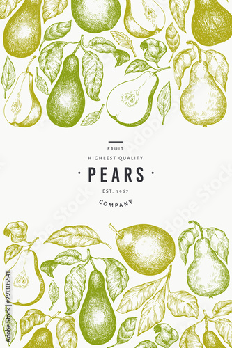 Pear design template. Hand drawn vector garden fruit illustration. Engraved style garden fruit frame. Retro botanical banner.
