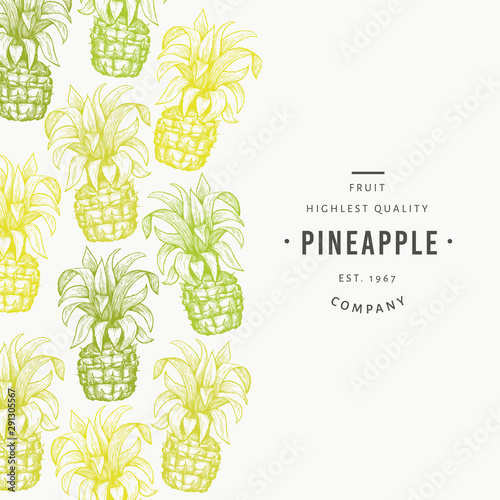 Pineapples and tropical leaves design template. Hand drawn vector tropical fruit illustration. Engraved style ananas fruit banner. Retro botanical frame.