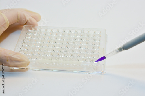 Molecular genetics and biotechnology.