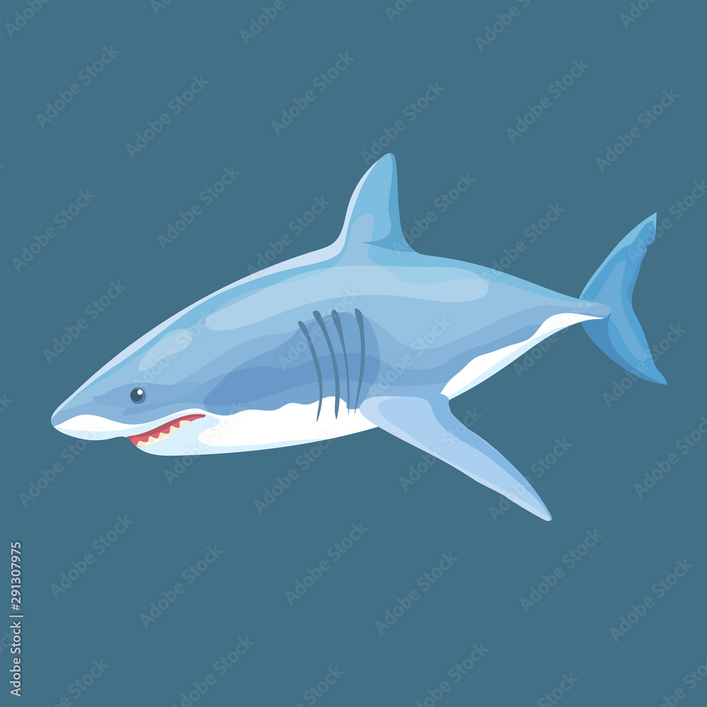 Obraz premium Vector Illustration Of Real Shark Swims Isolated