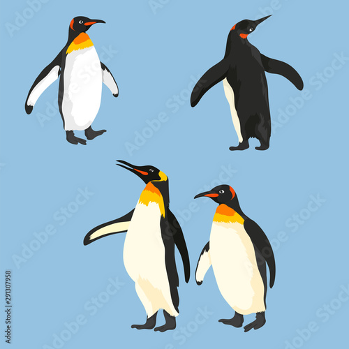 Vector Set Of Penguins In Different Poses