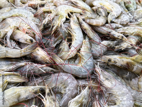 Top view of fresh shrimps or prawns in the market.