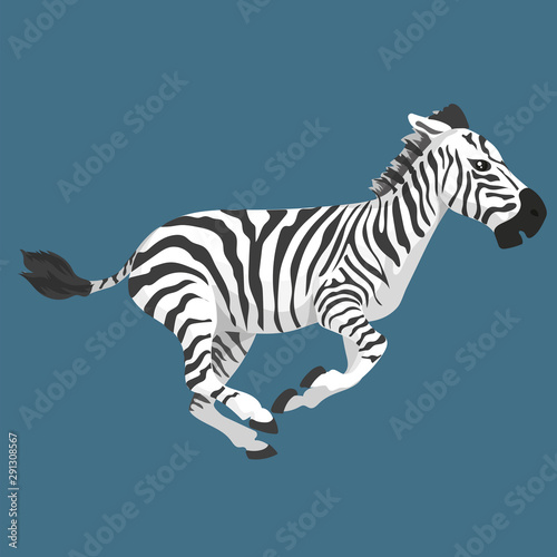 Vector Illustration Of Fright Zebra Run Isolated