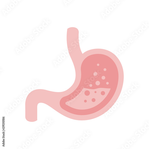 vector illustration of stomach and intestine digestions