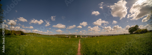 Fototapeta Naklejka Na Ścianę i Meble -  Dirty road in green summer field.  Rural road in the   field