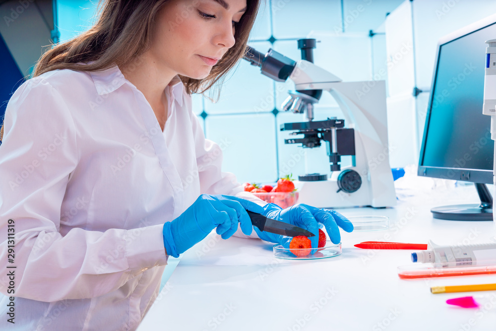 Young woman at food quality control in laboratory Young woman at food quality control in laboratory