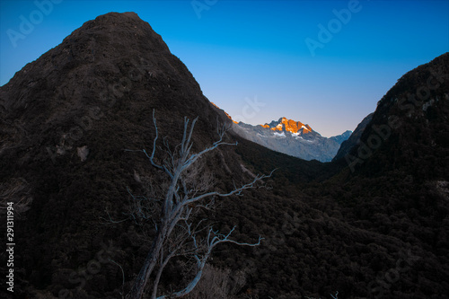 view from Peaceful route to Milford Sound in New Zealand's South Island photo