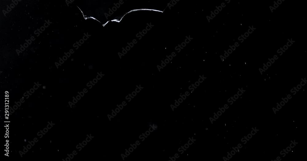 Shattered and broken glass shards flying through the air after crush broken window on a black background