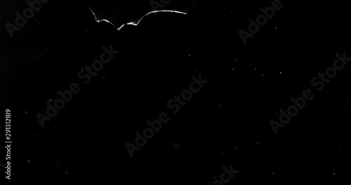 Shattered and broken glass shards flying through the air after crush broken window on a black background