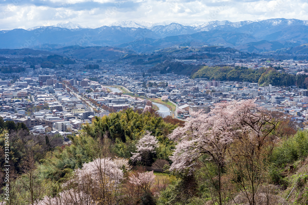 Obraz premium 桜が咲く春の卯辰山・見晴らし台からの眺め